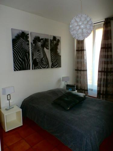 um quarto com três fotos de zebras na parede em Appartement COSY em Nice