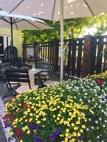 a patio with a bunch of flowers and umbrellas at Pensiunea Vila Chesa in Corunca