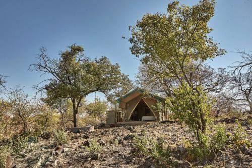 una cabina in mezzo a un campo alberato di ZuriCamp - Tent Amani a Tsumeb