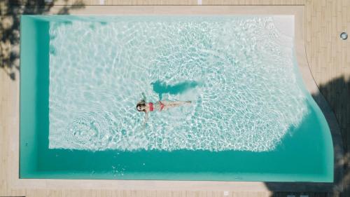 Bazén v ubytování Resort la Magnolia nebo v jeho okolí
