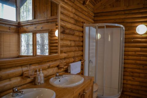 Vonios kambarys apgyvendinimo įstaigoje Clarens Log Cabin