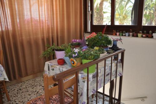 a table with potted plants on top of it at Villa DELFINA in Podgora