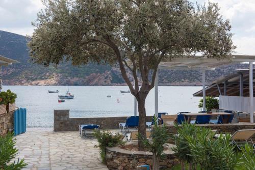 a tree sitting next to a body of water at Agrilia Apartments & Studios in Vathi