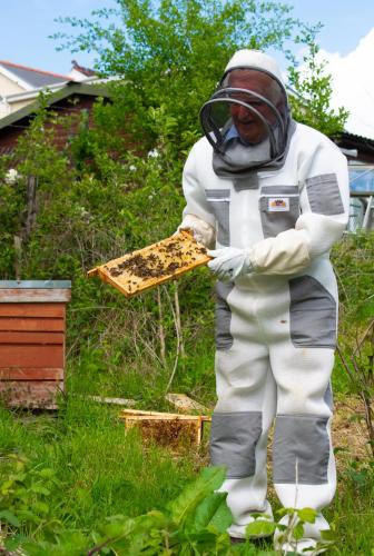 a man in a suit holding a box of bees at Pontyclerc Farm House Bed and Breakfast in Ammanford