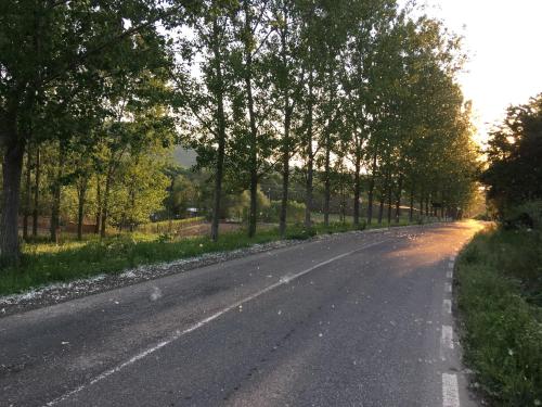 Φυσικό τοπίο κοντά σε αυτό το κατάλυμα σε φάρμα