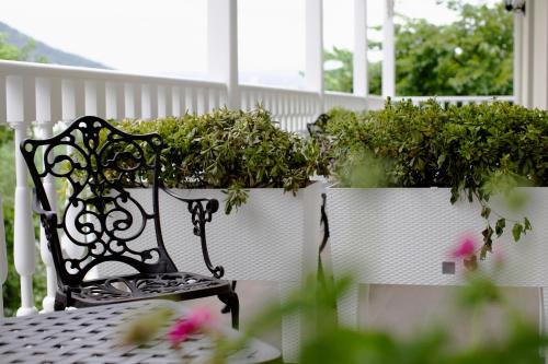 a black bench sitting on a porch with potted plants at Hotel Passport Tbilisi in Tbilisi City