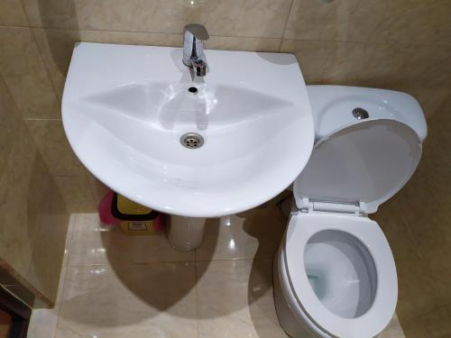 a bathroom with a white toilet and a sink at Chateau Chikovani in Gordi