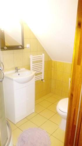 a bathroom with a sink and a toilet at Apartament Wrzos in Ryn