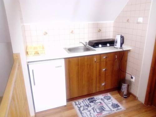 a small kitchen with a sink and a counter at Apartament Wrzos in Ryn