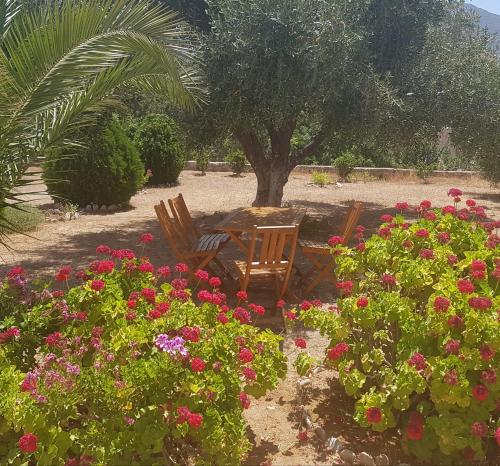 two wooden chairs sitting in a garden with flowers at Tilos Fantasy in Livadia
