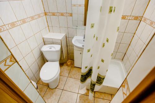 スヴェトロゴルスクにあるChayka Hotelの小さなバスルーム(トイレ、シンク付)
