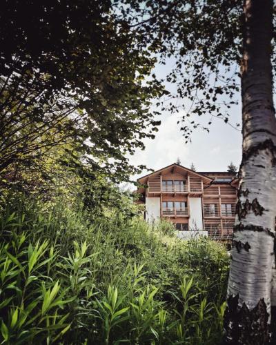 Zahrada ubytování Appartamenti e B&B Casa Ester
