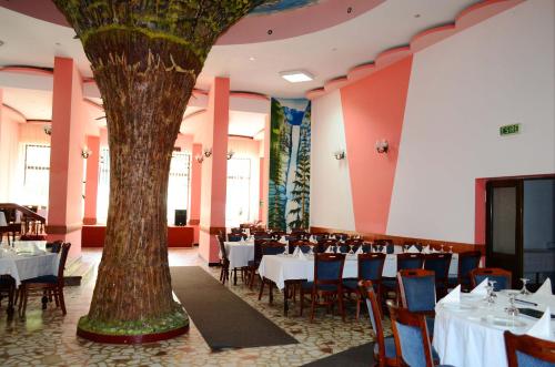 a restaurant with a tree in the middle of the room at Hotel Bradul in Durau
