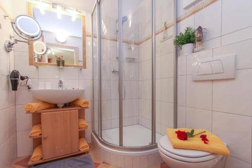 ein Bad mit einer Dusche, einem Waschbecken und einem WC in der Unterkunft Ferienwohnungen Anita in Fieberbrunn