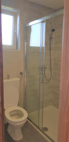 a bathroom with a toilet and a glass shower at Apartments Korana, BelajskePoljice in Duga Resa