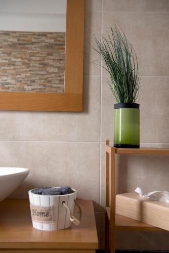 baño con lavabo y maceta en un estante en SESI VIEW, en Grammatiko