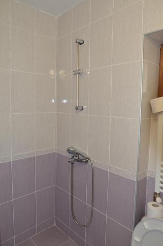 a bathroom with a shower and a toilet at Къща за гости Марияна in Tvŭrditsa