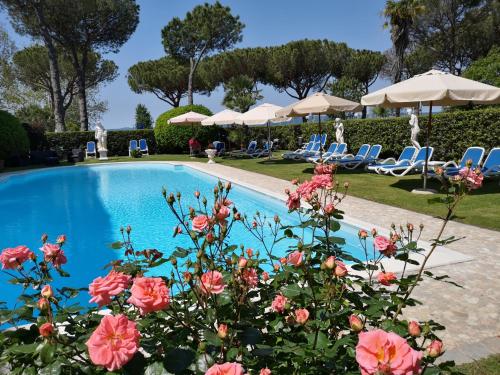 basen z różowymi kwiatami, krzesłami i parasolami w obiekcie Hotel Royal w mieście Bolsena