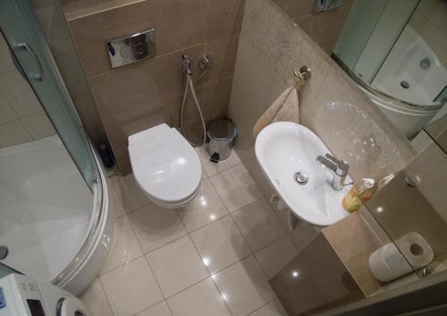 a bathroom with a sink and a toilet and a shower at Studio Park Saski 1 & 2 in Sandomierz