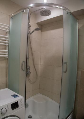 a shower with a glass door in a bathroom at Studio Park Saski 1 & 2 in Sandomierz
