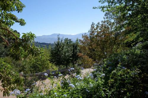 a view of a garden with trees and flowers at Bartinney Private Cellar Banhoek in Stellenbosch