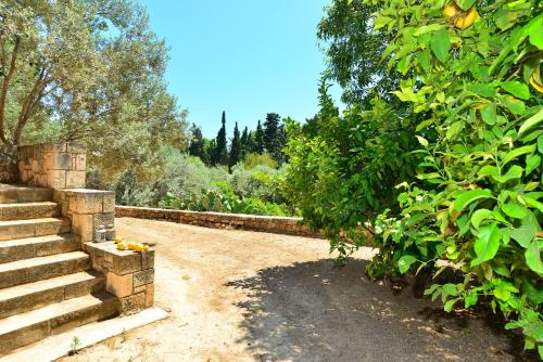 a garden with a bunch of trees and stairs at PYRGOS RALLI ESTATE Guesthouse in Aegina Town