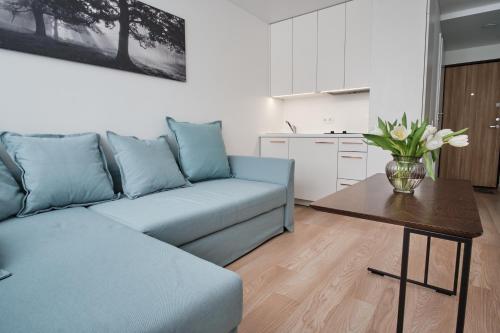 Кухня или мини-кухня в Cosy studio near Akropolis and Švyturio arena
