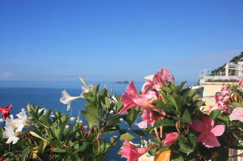 a bush with flowers in front of the ocean at Palazzo Talamo in Positano