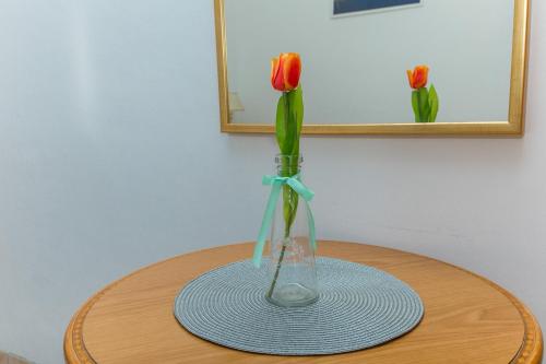 Apartments Janja – Photos 3