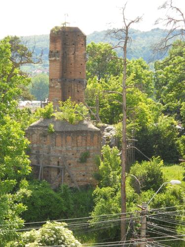 an old brick building in the middle of a forest at Casa Domneasca in Curtea de Argeş