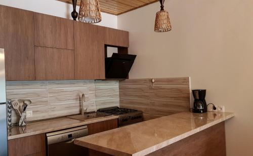 a kitchen with wooden cabinets and a counter top at Sunny Mountain House in Stepantsminda