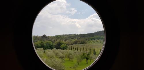 a round window with a view of a field and trees at Poggio Al Palio in San Lorenzo a Merse