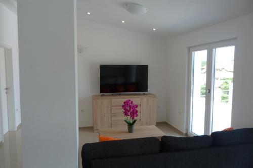 uma sala de estar com um sofá e uma televisão em Apartments Monja & Dadi em Vantacići