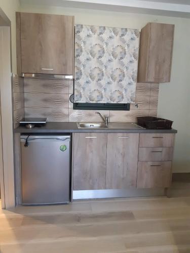 Η κουζίνα ή μικρή κουζίνα στο Aelia suites