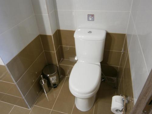 a bathroom with a toilet and a trash can at The Magic Mountain in Tsapournia