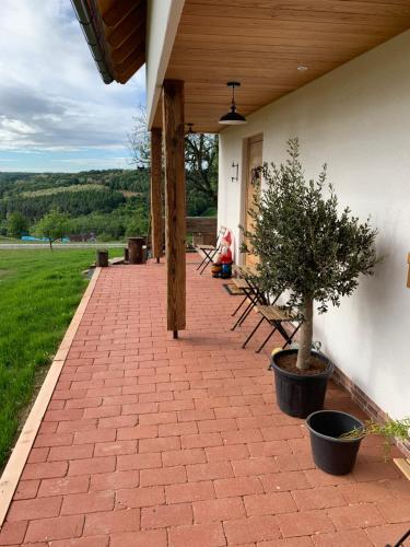 InzenhofにあるDas Weinstöcklのギャラリーの写真