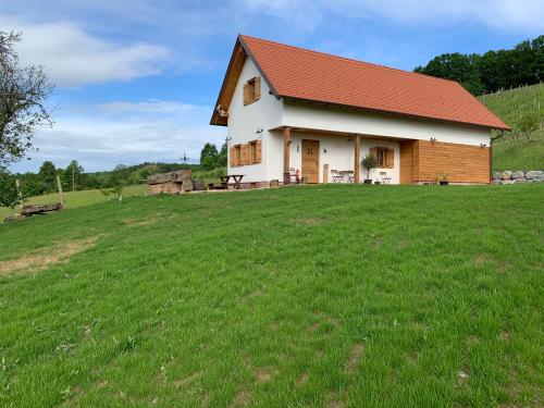 InzenhofにあるDas Weinstöcklのギャラリーの写真