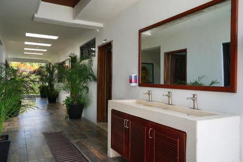 a bathroom with a sink and a mirror at Red Panda Hostal in Playa del Carmen