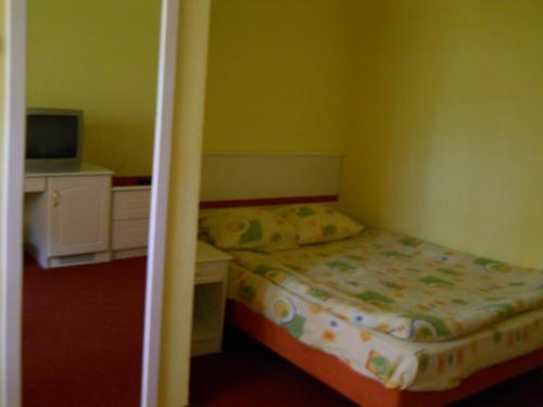 a small bedroom with a bed and a television at Vila Anna in Sovata