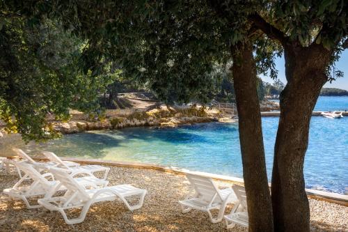 a group of white chairs sitting next to the water at Maistra Select Funtana All Inclusive Resort in Funtana