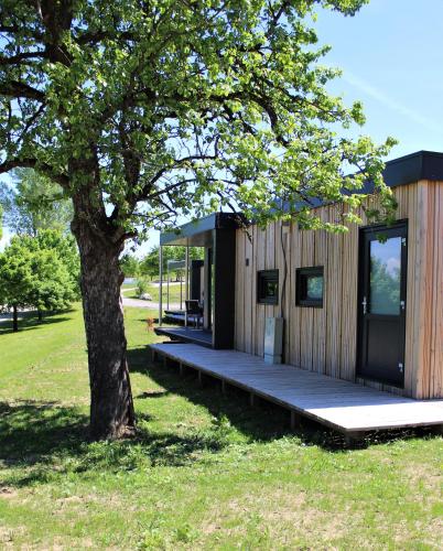 a small building with a tree in a field at Chaletpark Petzen in Feistritz ob Bleiburg