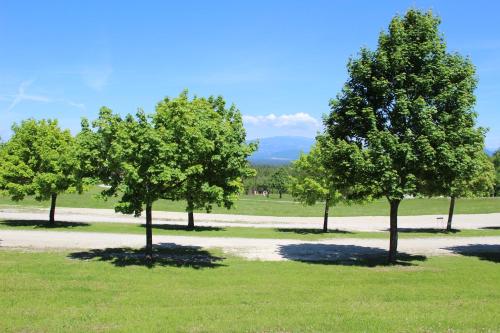 a group of trees in a field with a path at Chaletpark Petzen in Feistritz ob Bleiburg