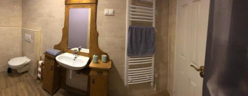 a bathroom with a sink and a toilet at Tulipán Villa Panzió in Szolnok