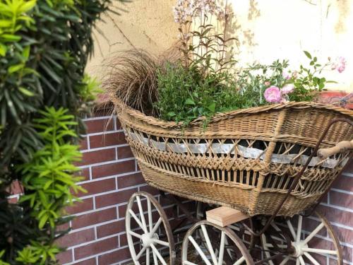 un carro de mimbre con plantas en él junto a una pared de ladrillo en Tulipán Villa Panzió, en Szolnok