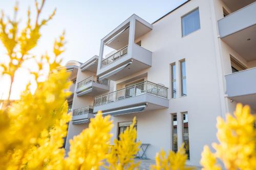Gallery image of Royalty Suites Loft in Nikiti