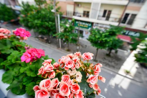 a bunch of pink flowers in a pot on a street at Hotel Niku in Tirana