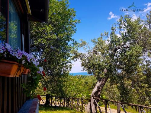 a window of a house with a view of the ocean at Agriturismo Vulcano in Mirto Crosia