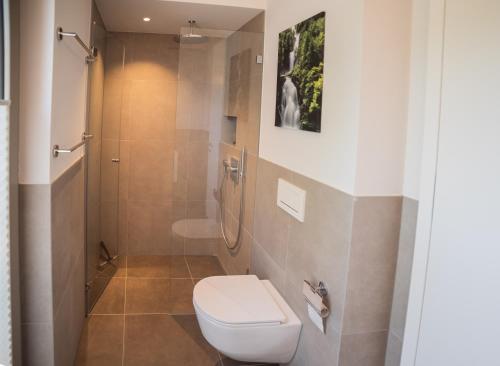 a bathroom with a toilet and a shower at Seaside-Lodge, Top Apartment in Spiez
