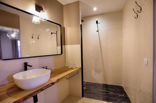 a bathroom with a sink and a shower at Villa Caroline - Chambres d'Hôtes in Albi