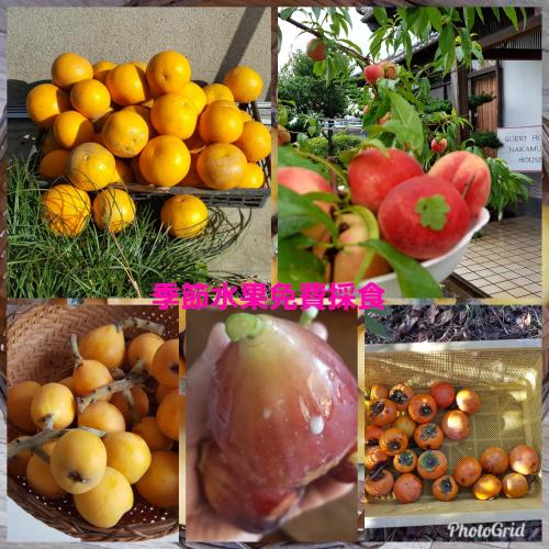 a collage of pictures of oranges and other fruits at Guest House Nakamura House in Oki